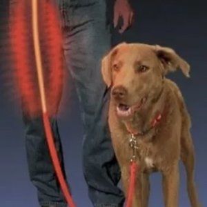 NWT Nite Ize Nite Dawg LED Pet Leash Red Glow & Flash Modes Reflective Dog Leash
